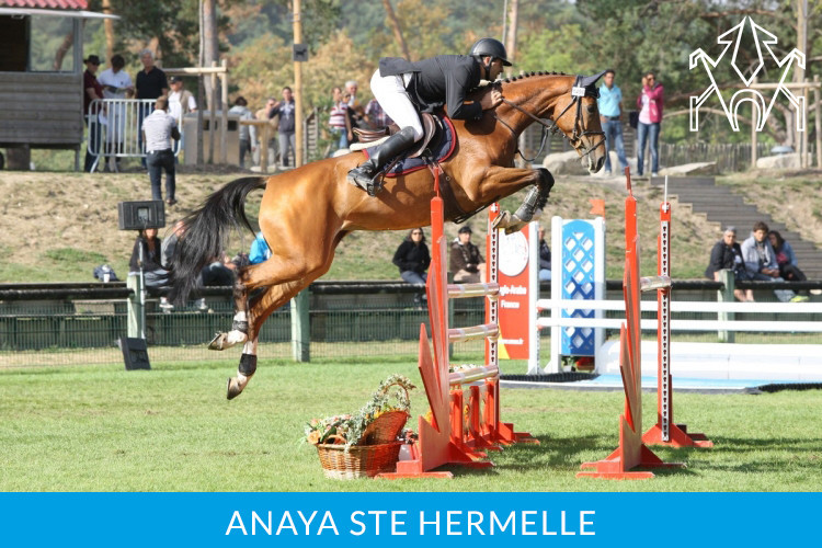 Anaya Ste Hermelle