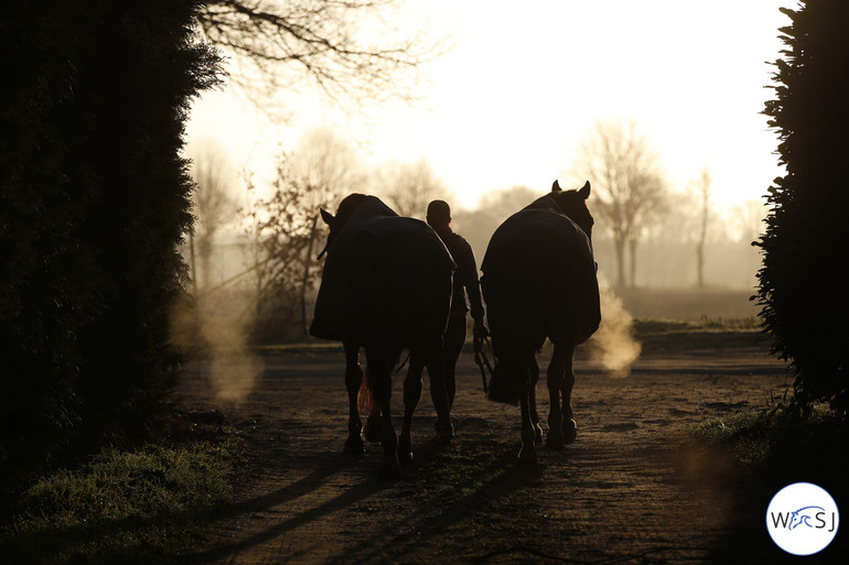 Photo © Jenny Abrahamsson for World of Showjumping