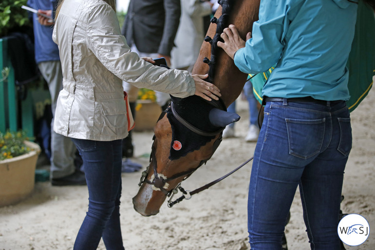 Photo © Jenny Abrahamsson for World of Showjumping. 