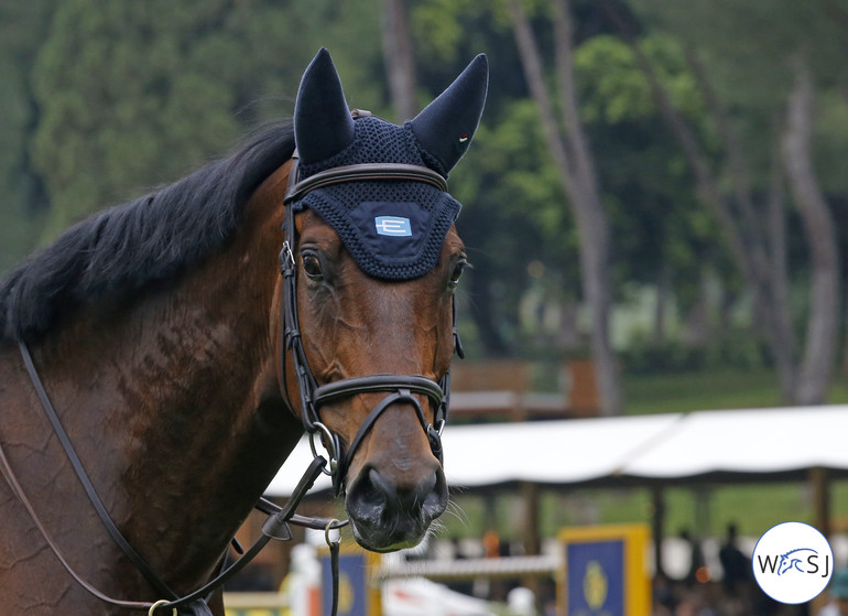 Photo © Jenny Abrahamsson for World of Showjumping. 