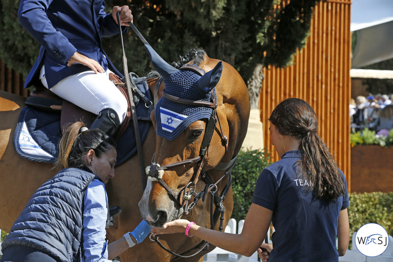 Photo © Jenny Abrahamsson for World of Showjumping. 