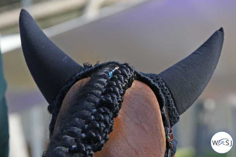 Photo © Jenny Abrahamsson for World of Showjumping