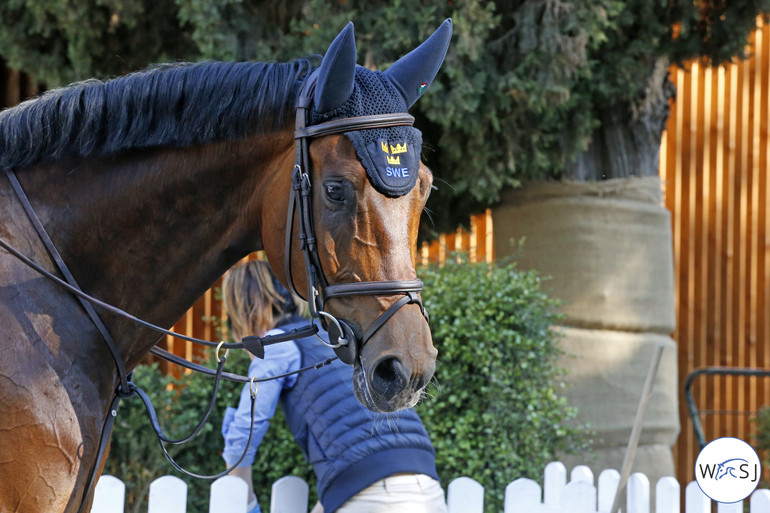 Photo © Jenny Abrahamsson for World of Showjumping. 