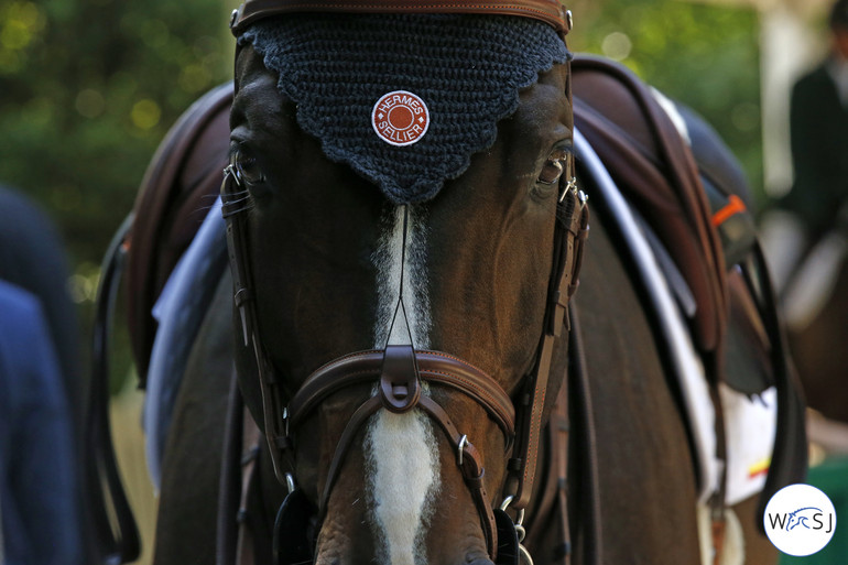 Photo © Jenny Abrahamsson for World of Showjumping. 