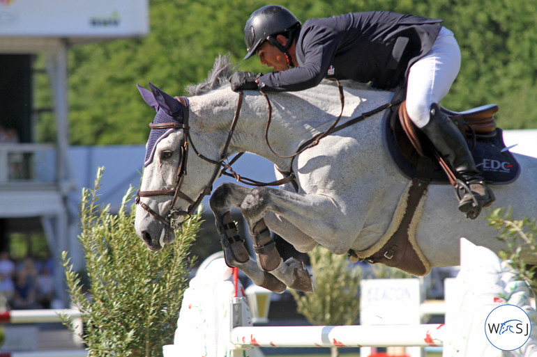 © World of Showjumping