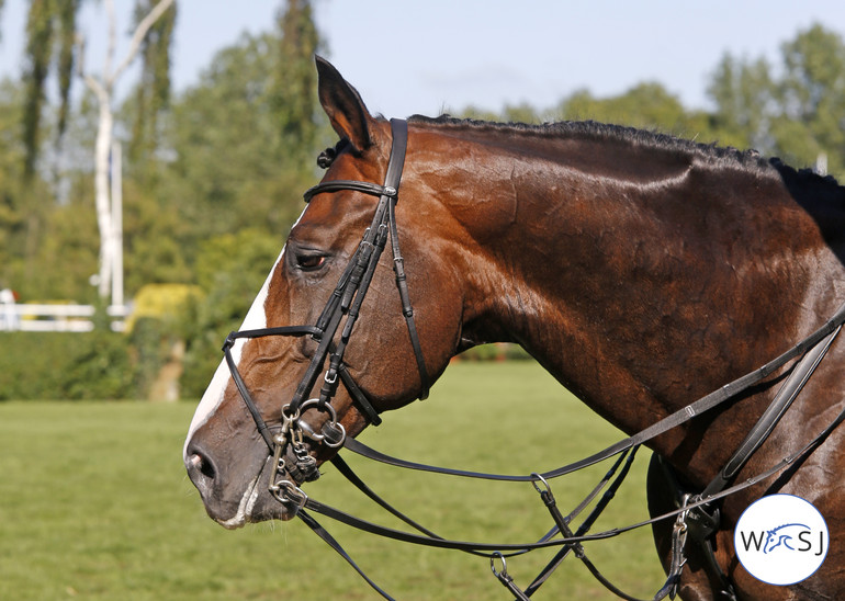 Photo © Jenny Abrahamsson for World of Showjumping.