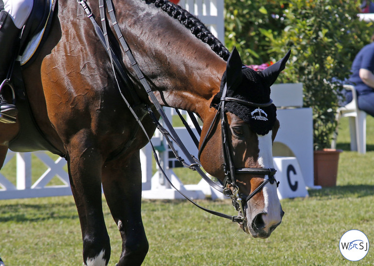 Photo © Jenny Abrahamsson for World of Showjumping.