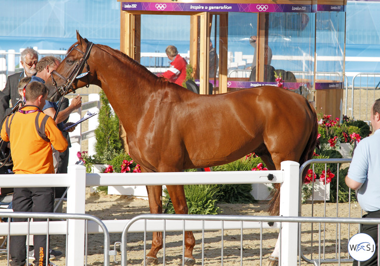 Photo © Jenny Abrahamsson for World of Showjumping.