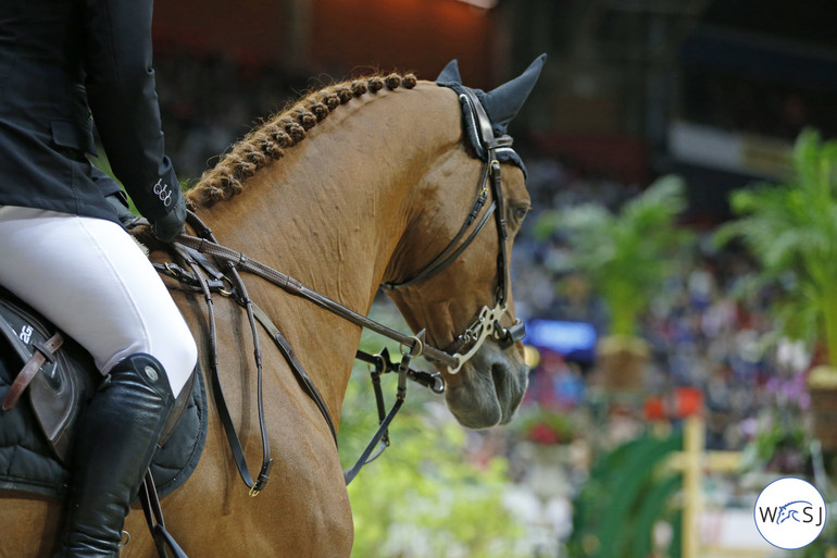 Photo © Jenny Abrahamsson for World of Showjumping.