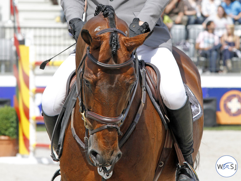 Photo © Jenny Abrahamsson for World of Showjumping. 