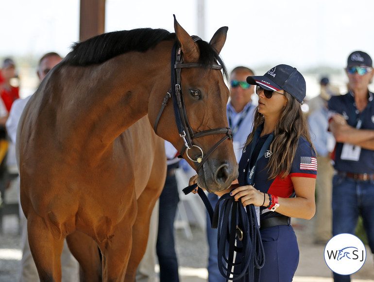 Photo © Jenny Abrahamsson for World of Showjumping