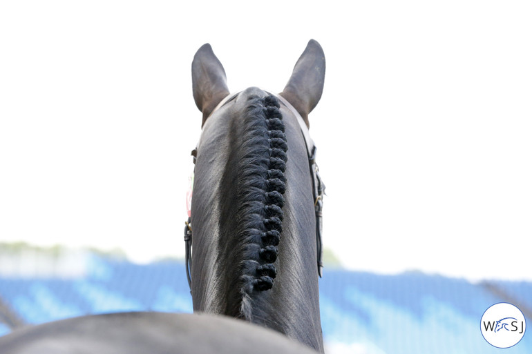 Photo © Jenny Abrahamsson for World of Showjumping.