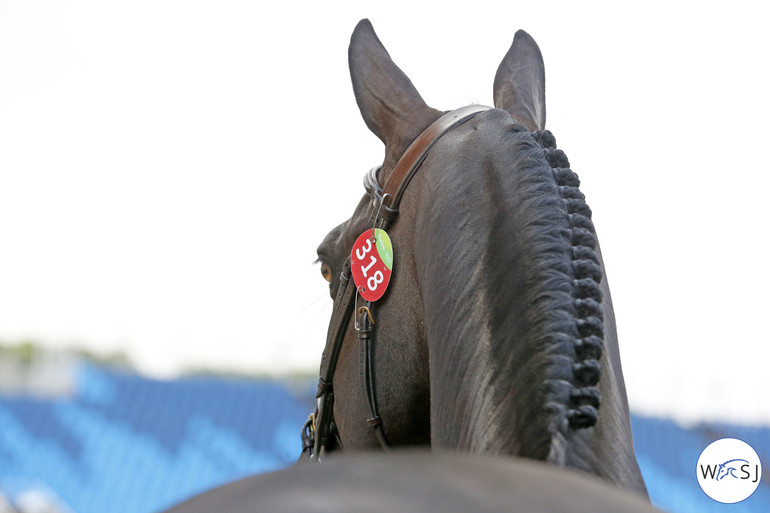 Photo © Jenny Abrahamsson for World of Showjumping.