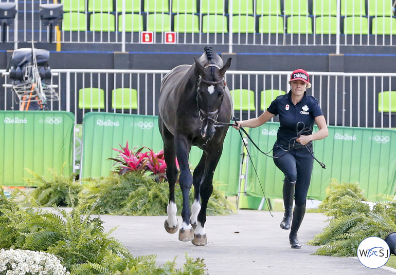 Photo © Jenny Abrahamsson for World of Showjumping.