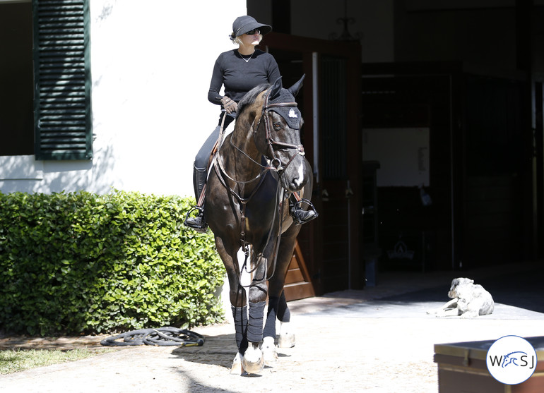 Photo © Jenny Abrahamsson for World of Showjumping.