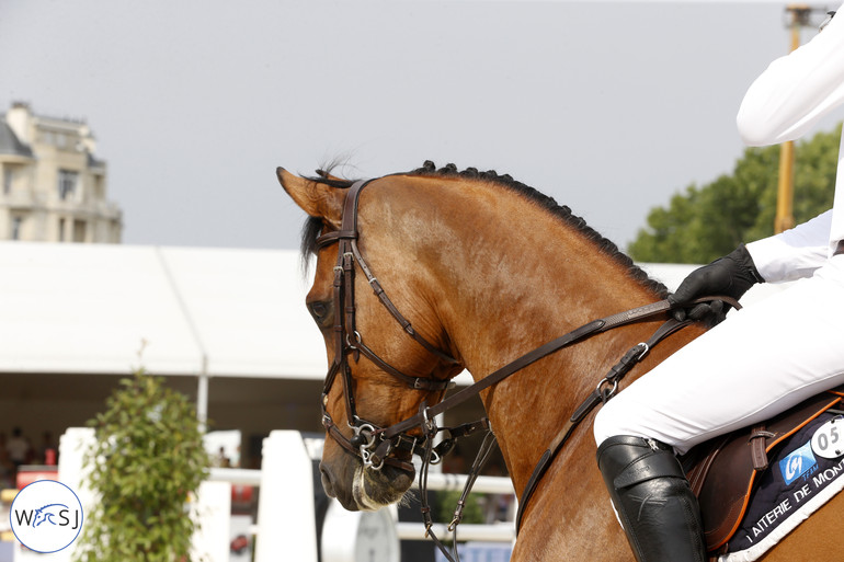 Photo © Jenny Abrahamsson for World of Showjumping. 