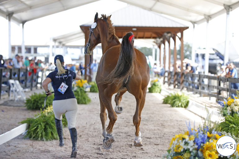 Photo © Jenny Abrahamsson for World of Showjumping. 