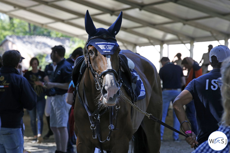 Photo © Jenny Abrahamsson for World of Showjumping. 