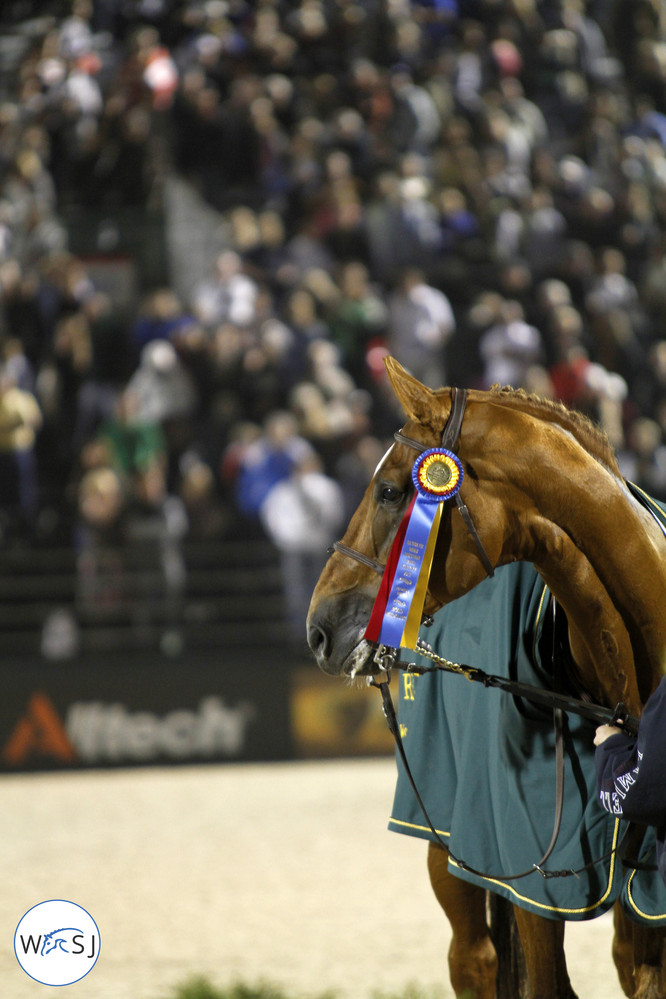 Photo © Jenny Abrahamsson for World of Showjumping.