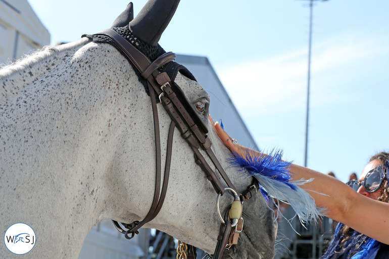 Photo © Jenny Abrahamsson for World of Showjumping.