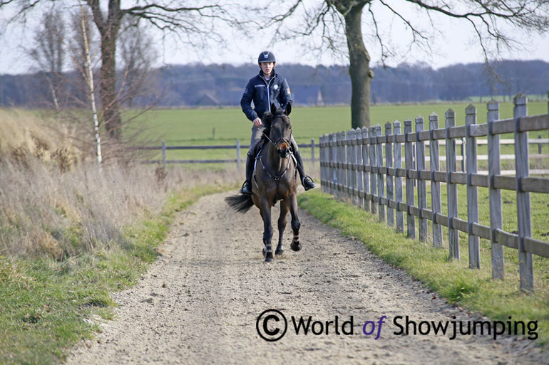 "I like to keep them fit, and keep their brains right with cantering them outside a lot," Bertram says of his way of training the horses. 