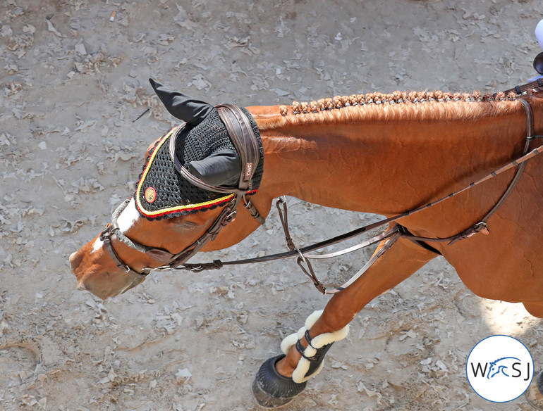 Photo © Jenny Abrahamsson for World of Showjumping.