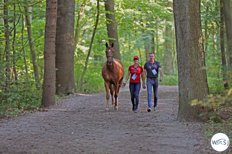 Photo © Jenny Abrahamsson for World of Showjumping