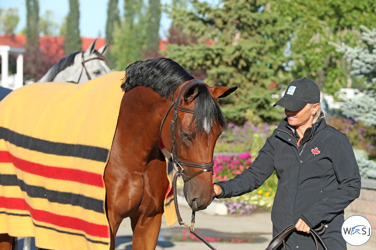 Photo © Jenny Abrahamsson for World of Showjumping.