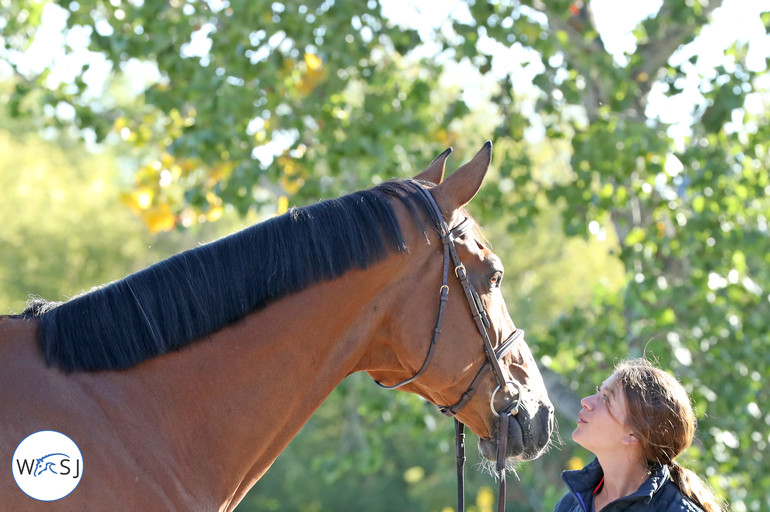 Photo © Jenny Abrahamsson for World of Showjumping.