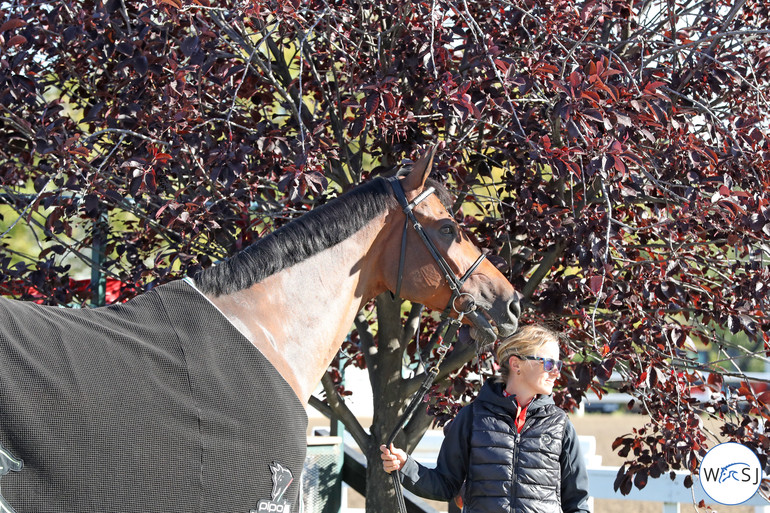 Photo © Jenny Abrahamsson for World of Showjumping.