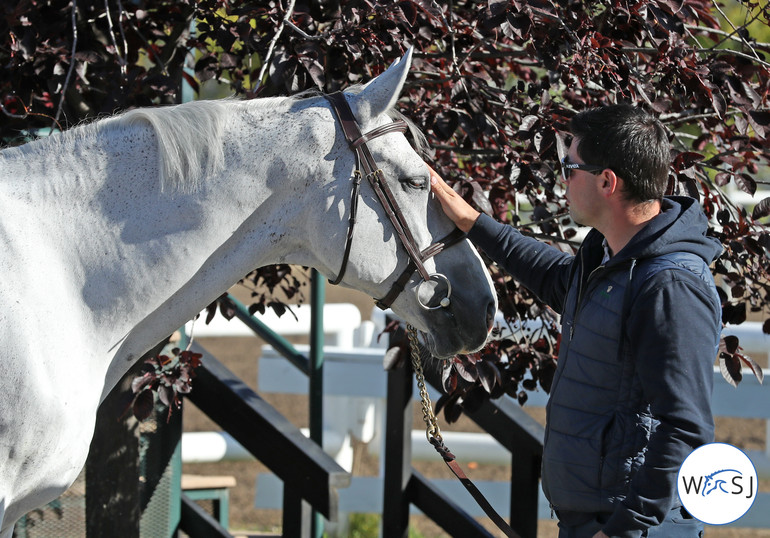 Photo © Jenny Abrahamsson for World of Showjumping.