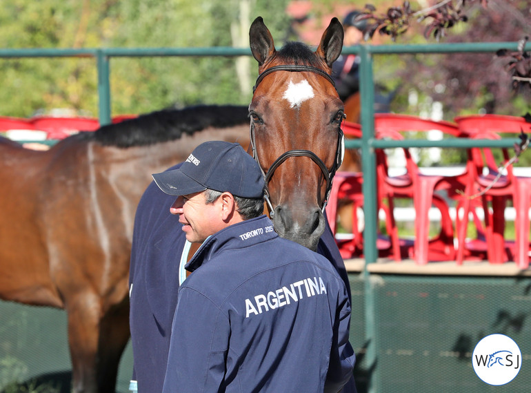 Photo © Jenny Abrahamsson for World of Showjumping.