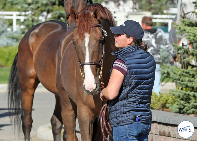 Photo © Jenny Abrahamsson for World of Showjumping.