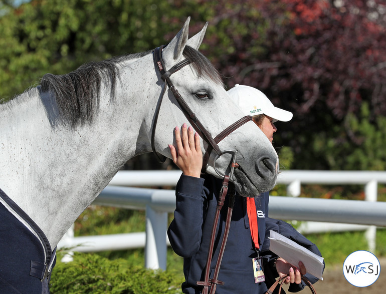 Photo © Jenny Abrahamsson for World of Showjumping.