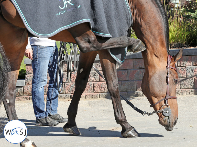 Photo © Jenny Abrahamsson for World of Showjumping.