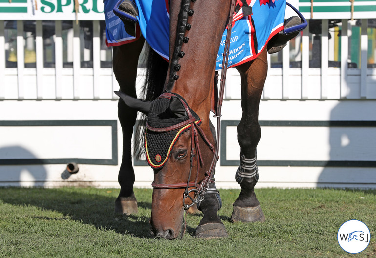 Photo © Jenny Abrahamsson for World of Showjumping. 