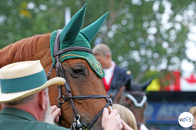 Photo © Jenny Abrahamsson for World of Showjumping.