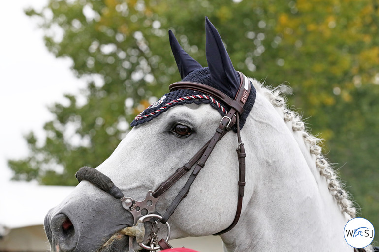 Photo © Jenny Abrahamsson for World of Showjumping.