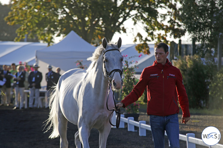 Photos © Jenny Abrahamsson for World of Showjumping.