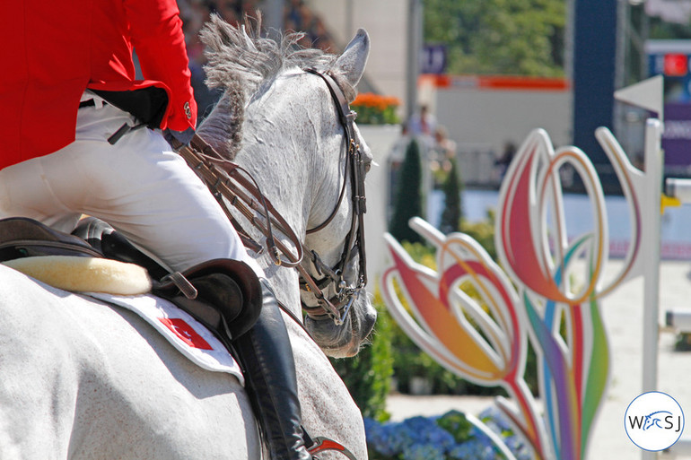 © World of Showjumping