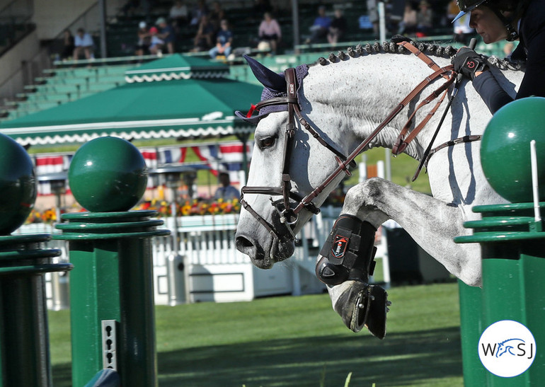 Photo © Jenny Abrahamsson for World of Showjumping.