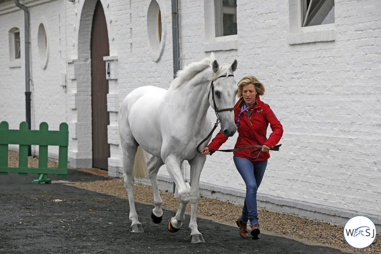 Photo © Jenny Abrahamsson for World of Showjumping.