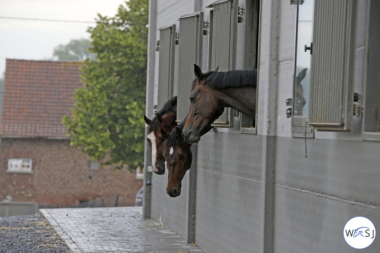 Photo © Jenny Abrahamsson for World of Showjumping 