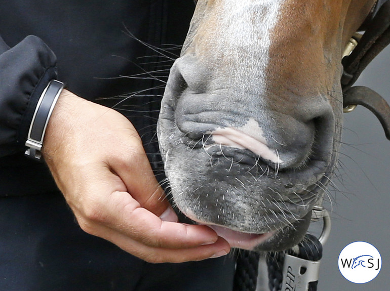 Photo © Jenny Abrahamsson for World of Showjumping 