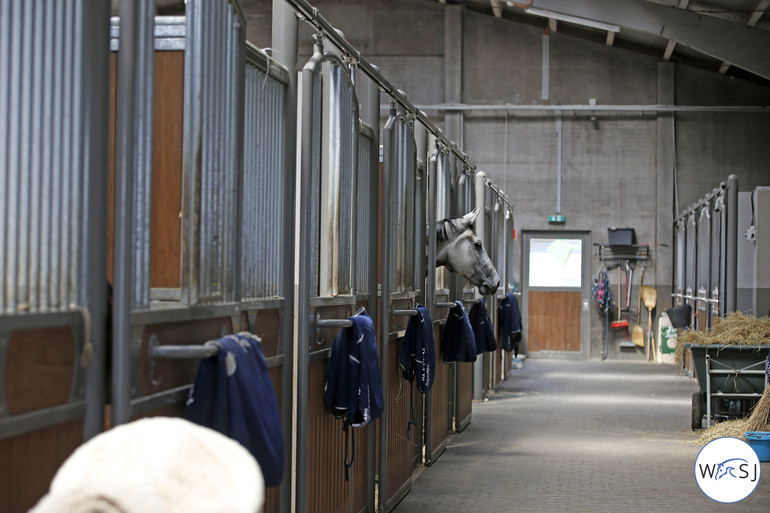 Photo © Jenny Abrahamsson for World of Showjumping 