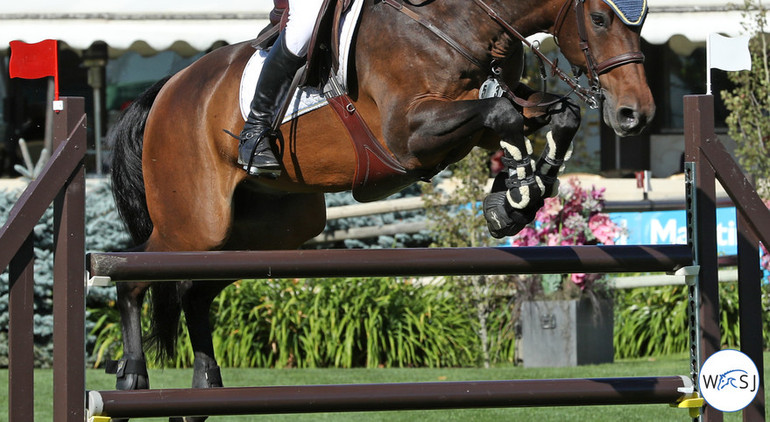  Photo © Jenny Abrahamsson for World of Showjumping.