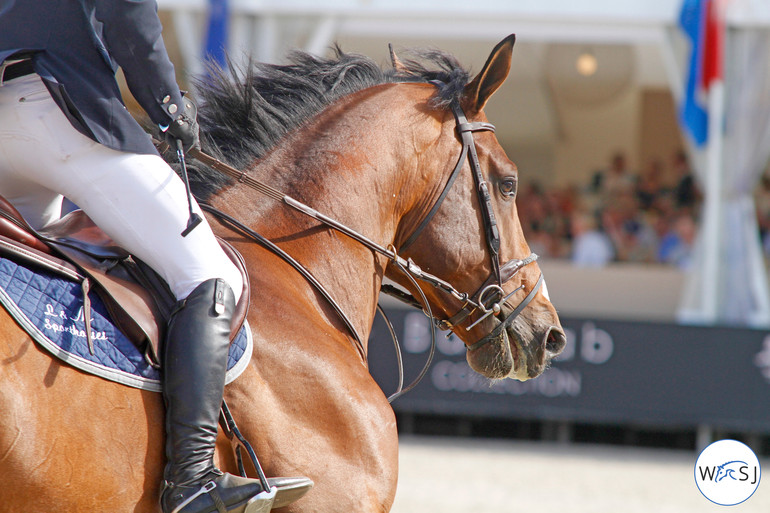 © World of Showjumping