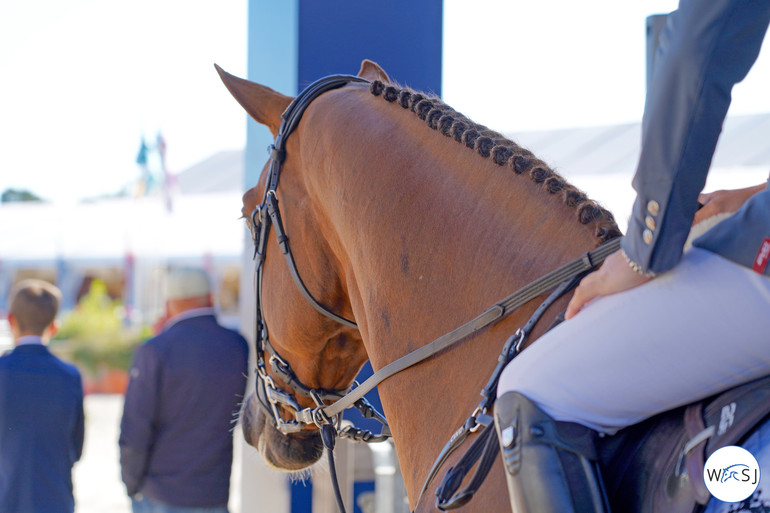 Photo © Nanna Nieminen for World of Showjumping