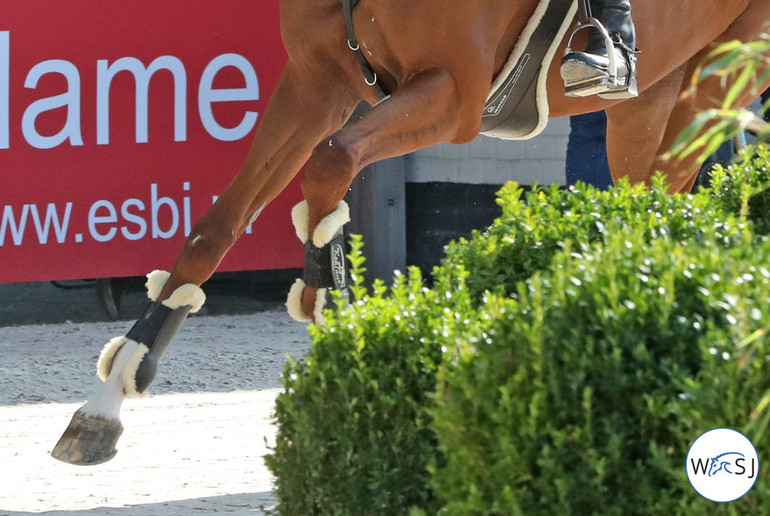 Photo © Jenny Abrahamsson for World of Showjumping.