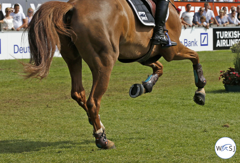 Photo © Jenny Abrahamsson for World of Showjumping.